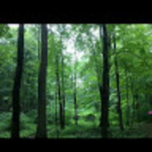 Meet your Posher, María